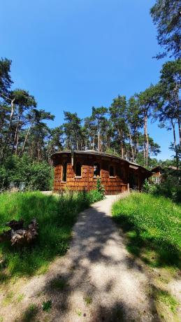 Hobbithuisje in het midden van de natuur tussen de dennenbomen en blauwe lucht.