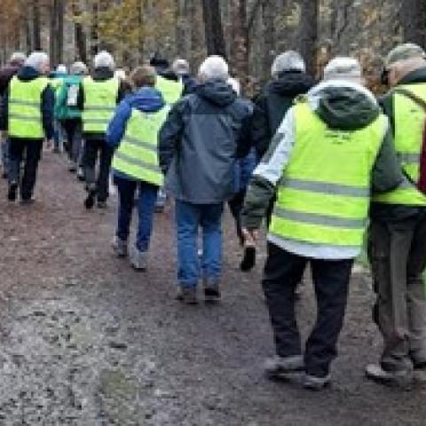 senioren op wandel 